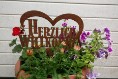 IMG_20180602_141954-Kopie