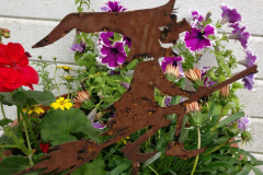 IMG_20180602_142844