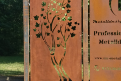 IMG_20180622_191424-Kopie