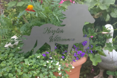 IMG_20180710_201742-Kopie