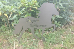 IMG_20180710_202053-Kopie