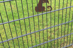 Katze