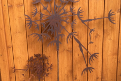 Pusteblume-4