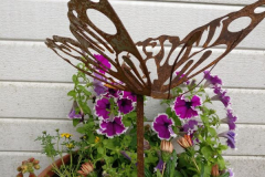 Schmetterling-2