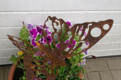 Schmetterling