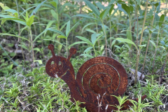 Schnecke-klein3