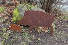 Wildschwein-mittel-und-klein