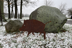 Wildschwein-mittel