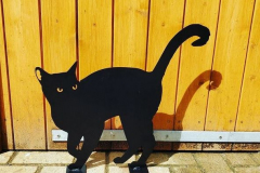 stehende-Katze