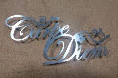 Schriftzug-Carpe-Diem-Edelstahl-Schild-40cm-1
