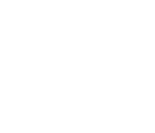 Logo-weißaufgrau-300×300