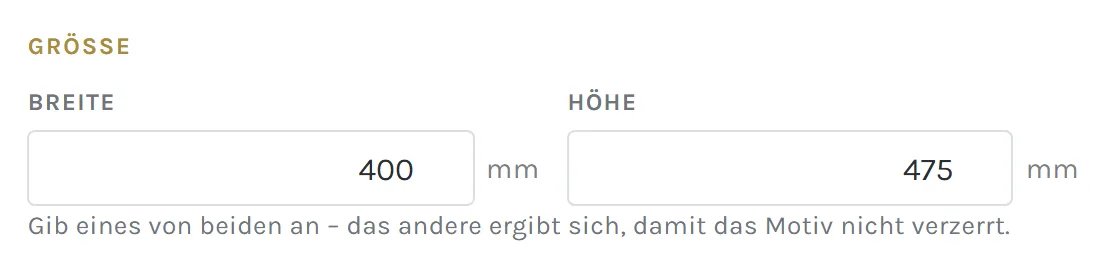 Eingabefelder für Breite und Höhe in Millimetern